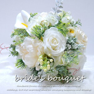 EFfBOu[P  EGfBOu[P ԉ u[P  ԉŃu[P o LXP[hu[P [Y EGfBOu[PuC_u[P ԑ  ĕ   p[eB