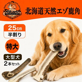 【大型犬用 25cm 特大 半割り 2本 セット】犬 おもちゃ 鹿角 北海道産 エゾ鹿の角 無添加 長持ち 噛むおやつ デンタルケア 口臭対策 ストレス解消 Shicanta シカンタ