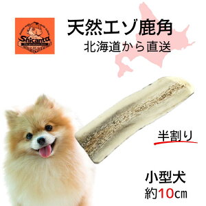 y10cm  ^p 1{zkCG]p ݉ocOI ̂ ̂ ̃cm Y f^ L΍yShicanta VJ^z