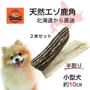 y10cm  ^p 2{zkCG]p ݉ocOI ̂ ̂ ̃cm Y f^ L΍yShicanta VJ^z