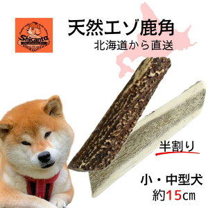 y15cm  2{ ^`^pzkCG]p ݉ocOI ̂ ̂ ̃cm Y f^ L΍yShicanta VJ^z