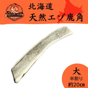 y20cm TCY  1{ `^pzkCG]p ݉ocOI ̂ ̂ ̃cm Y f^ L΍yShicanta VJ^z