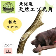 北海道エゾ鹿角 1本【極太 LLサイズ 約25cm 大型犬用】 噛み応えバツグン！ 犬のおもちゃ 犬のおやつ 鹿…