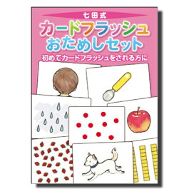 楽天市場】七田式通信コース幼児(1年・教材セットプラン) : しちだ 