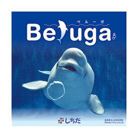 七田式に取り組む前はもちろん、勉強やスポーツ前の集中力UPに！〜Beluga(ベルーガ)CD