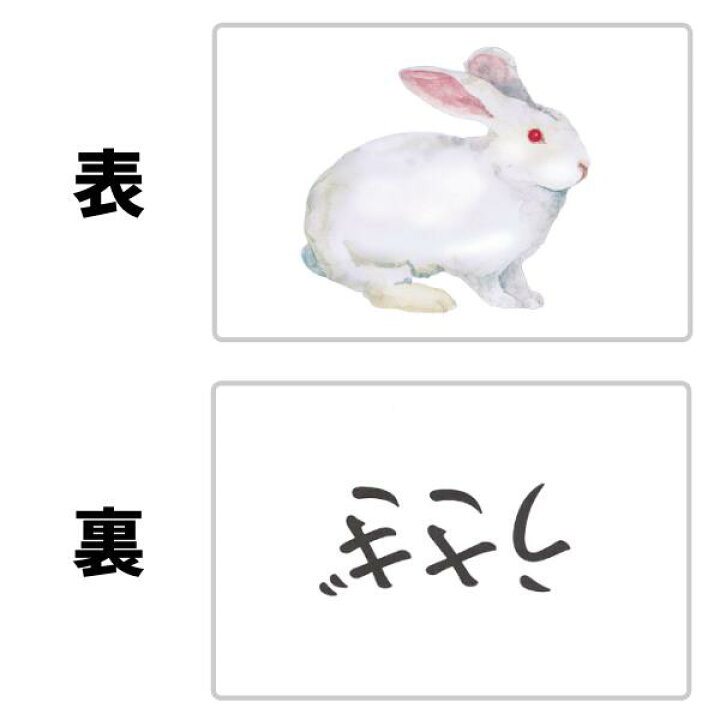 楽天市場】七田式フラッシュカード教材☆ かな絵ちゃん日本語セット 