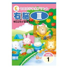 毎日2枚が基礎学力アップのコツ！！七田式小学生プリント右脳3