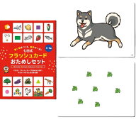 ベビー用教材 ひらがな カタカナ 「七田式カードフラッシュおためしセット」