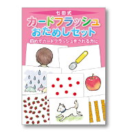 旧版）今だけ特別価格　ベビー用教材 ひらがな カタカナ 「七田式カードフラッシュおためしセット」