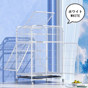 L P[W LbgP[W 3i L݌v Rgݍ킹 g[t LhAt nbNt ^ LQ[W   LbgnEX lR nEX i  ی Eh~ 