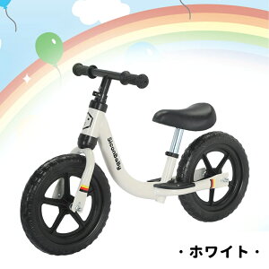 y2024VizoXoCN LbNoCN y_Ȃ] LbYoCN pߋ Vv  蕨 j v[g j