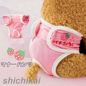 p Tj^[pc }i[pc 2_Zbg 4color p }i[EFA D  pi ނJo[  PApi ppEFA U o ybgG  ybgp q