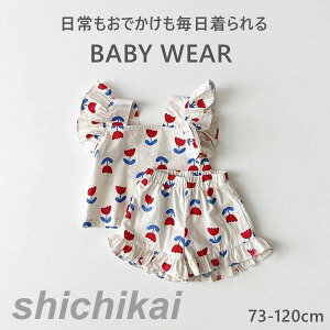 xr[ ㉺Zbg ZbgAbv  o| gbvX pc Zbg m[X[u qǂ  Ԃ c xr[ Rbg xr[EGA 킢  ʉ oYj 