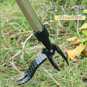  ܂  Lk 炭炭 ֗  ObY  G G XeX 背[L     J} i | _    NTJ  