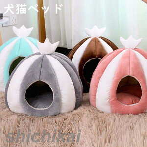 Lxbh Op p sp LnEX H ~ A Lpxbh L h[^ xbh   _炩  ~ ^ Lbg ybg p NbVt Lxbh