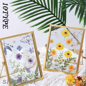 ʐ^ tHgt[ tHgX^h W{ DIYvU[uh t[  z[~jt[ | ԍ   a Hgt[ tHgX^h oYj j  v