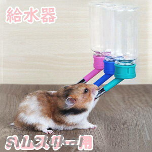 nX^[ EH[^[{g  z 120ml EH[^[{g NA  P[W pi Rh~ GȂ ETM nX^[ ybg  bg WKAnX^