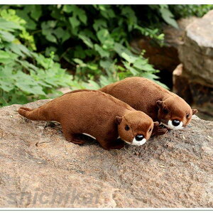 ʂ݁@JE\@A@ @ CeA@q@ X@av[g