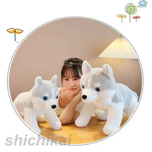 ʂ݁@ʁ@Ck@ @nXL[@A@ӂӂ @@CeA @  @ 킢@aMtg Mtg