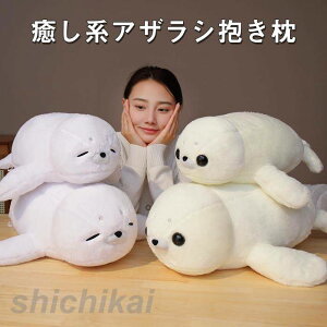 ʂ݁@AUV@@CeAG݁@@q@oYj@@av[g