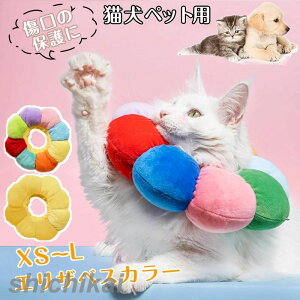 GUxXJ[ L  pEFA ybgpi lR  GUxX Jt  ӂӂ ȒP 炩  r r h~  ی p  PK aC p t@bV