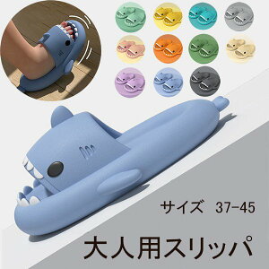 Xbp ėp  fB[X  T r[`T_ V[Y AEghA r[`p W[ Xbp lC Xbp Y C T_ V[T_ y oX[ 