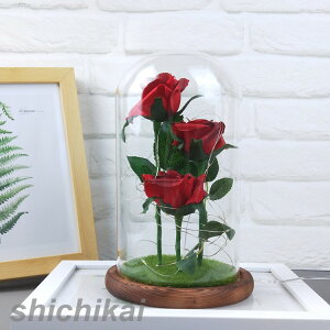 zCgf[ \[vt[ ԑ \[vt[@͂Ȃԁ@Όԁ@J[l[V@o@{bNX  t[@u[P ԑ@ f[  zCgf[ v[g Mtg