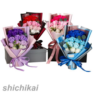 yXSi|Cg5{11܂ŁzzCgf[ \[vt[ ԑ \[vt[@͂Ȃԁ@Όԁ@J[l[V@o@{bNX  t[@ԑ@ f[ LO 