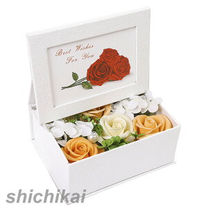 zCgf[ \[vt[ ԑ \[vt[@͂Ȃԁ@Όԁ@J[l[V@o@{bNX  t[@ԑ@ LO f[  zCgf[ v[g M