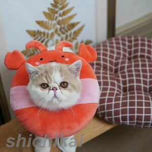 ybg LGUxXJ[IS M Lybg LGUxXJ[ p̕Ki ̕ی XgXy J[ S M L GUxXJ[Ђ܂ 6colour zCgf[ v[g