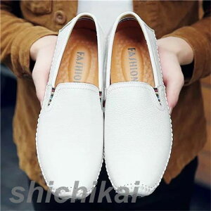 [t@[ XbvI Y hCrOV[Y JV JWA amC y ʊw@ʋ fbLV[Y THOM WILLS