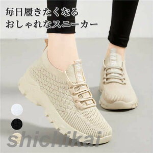 fB[X  Xj[J[ EH[LOV[Y ^C NbV y ʋC X|[c jOV[Y ʋ ʊw THOM WILLS