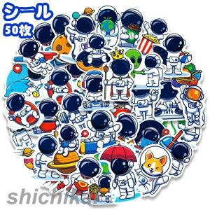 蒠V[ 50 PVC Fsm V[V[g NXebJ[ 蒠fR RNV G