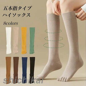 ܖ{w nC\bNX fB[X C hL ܖ{wnC\bNX u\bNX  5{w\bNX nC  z ȍ n Rbg\bNX ܖ{wC Xgb` \bNX ~ H 