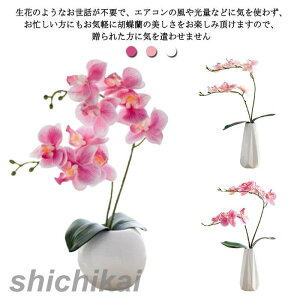 ~jTCY Ӓ  G} 2{ j A[gt[  STCY  sN v[g JX J@j  e[uTCY RpNg ̓ ̓ hV̓ {