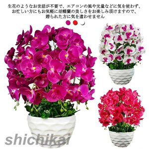 Ӓ  G} 14{ j {[   sN v[g  JX J@j  A[gt[ e[uTCY 傫 ̓ ̓ hV̓ {