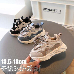 xr[ X|[cC Xj[J[ ̎q j̎q V[Y qC ʋC  qǂ ʉ ~ JWA qXj[J[ ̎qXj[J[ LbYXj[J[  _bhXj[