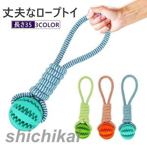 [v  ނ ybgpߋ [vgC   lC Ă S v S  ybg   mߋ v[g pi p pi X