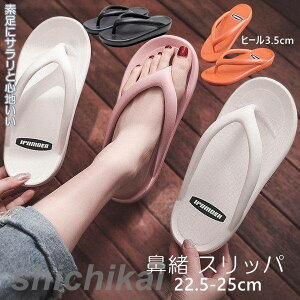 Xbp T_ r[`T_ @ Xbp ~  O T_ fB[X [T_  RtH[gT_  r[` AEghA V[Y C ~ 