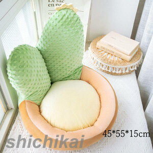 A NbV ӂӂ ʂ ֎q \t@[ NbV 455515 IV  wNbV T{e ɂ񂶂  ybgxbh  L ޏ v[g