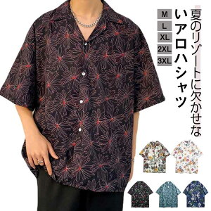 AnVc Vc  Y J݃Vc a JWAVc nCA Vc nC   ĕ I[vJ[ T[tn ][g C r[` ԕ Vc ̓ 