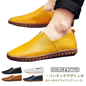 hCrOV[Y Y Xb| C Y vC U[ [t@[ ʋC Iׂ2^Cv 傫TCY ^] ₷  y  _炩 \[ hCu x t 