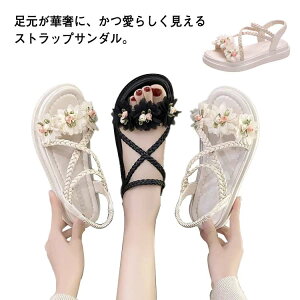 T_ p[ T_ r[`T_ tbgT_ [q[ fB[X 3.5cmq[ ₷ ɂȂ PU  킢 Ȃ I[ygD  t[  r[