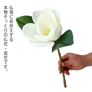   }OmA AI 2{Zbg zCg}OmA N ؘ@ p dp Q  ͂Ȃ O ~ @ N@v  O @  ̓Q 