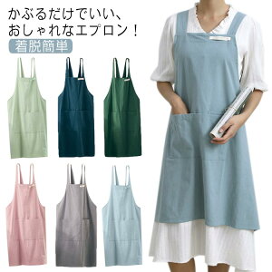 Gv Ԃ邾 fB[X  Rbg [NGv ۈm EȒP ̌^Jo[ JtF e  HX t[TCY  킢 n ̓ v[g