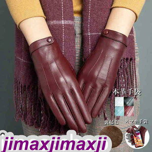 V {v fB[X H~ X}[gtH X}z {v U[ V[vXL { Vv O[u ^b`plΉ  h h ㎿  N g h 