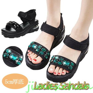 V fB[X T_  ؂ ₷ X|[cT_ _Ch 5cm y ₷ AEghA C V  傫TCY w  X|[c