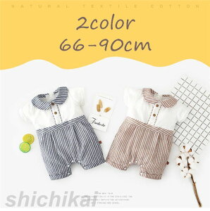 xr[ Ԃ p[X  Jo[I[ LbY XgCv  V ̎q j̎q oYj  \ ܎O zCgf[ v[g