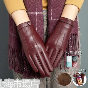 {v fB[X H~ X}[gtH X}z {v U[ V[vXL { Vv O[u ^b`plΉ  h h ㎿  N g h ĂԂ