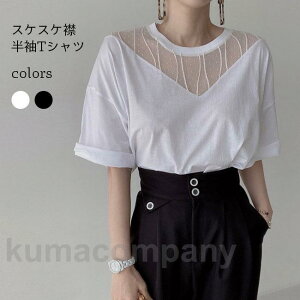 TVc fB[X TVc  eB[Vc XPXP N[lbN TVc hbvV_[ 5䑳 TVc hbLO